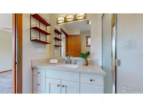 216 10th St, Windsor, CO 80550 photo 15