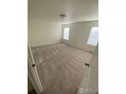 2433 Ravi St, Windsor, CO 80550 photo 9