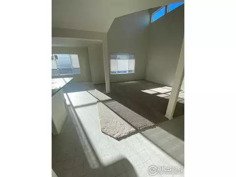 2433 Ravi St, Windsor, CO 80550 photo 8
