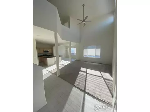 2433 Ravi St, Windsor, CO 80550 photo 6