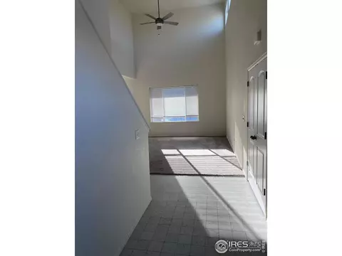 2433 Ravi St, Windsor, CO 80550 photo 5