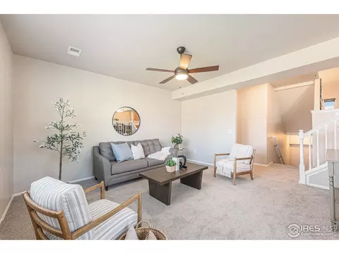 726 Corn Stalk Ct, Windsor, CO 80550 photo 15