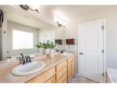 726 Corn Stalk Ct, Windsor, CO 80550 photo 22