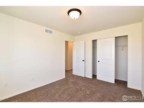 2371 Candence Ln, Windsor, CO 80550 photo 33