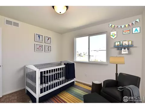 2371 Candence Ln, Windsor, CO 80550 photo 8