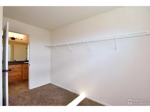 2371 Candence Ln, Windsor, CO 80550 photo 28
