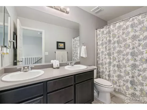2291 Stonefish Dr, Windsor, CO 80550 photo 23