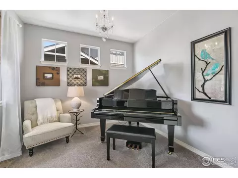 2291 Stonefish Dr, Windsor, CO 80550 photo 13