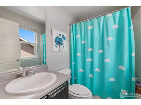 2291 Stonefish Dr, Windsor, CO 80550 photo 20