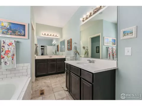 2291 Stonefish Dr, Windsor, CO 80550 photo 17