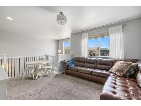 2291 Stonefish Dr, Windsor, CO 80550 photo 18