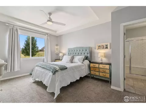 2291 Stonefish Dr, Windsor, CO 80550 photo 15