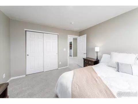 823 Charlton Dr, Windsor, CO 80550 photo 24