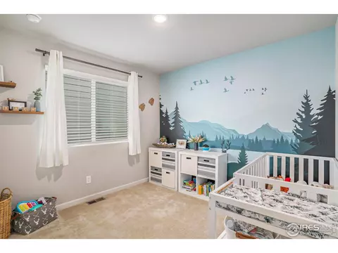 2730 Cooperland Blvd, Berthoud, CO 80513 photo 14