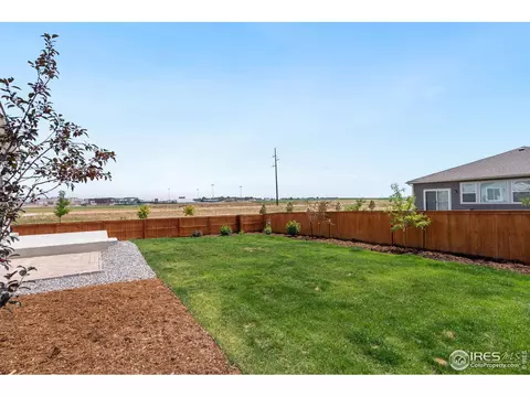 1247 Wild Basin Rd, Windsor, CO 80550 photo 12