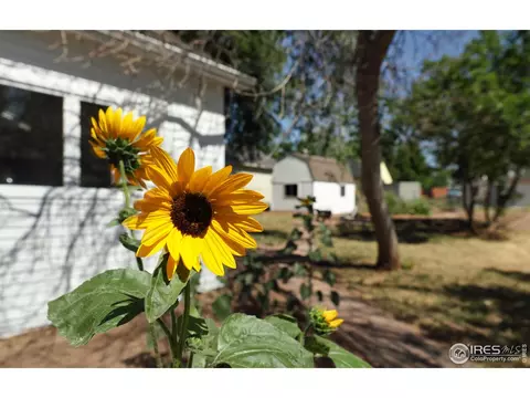 428 Stickney Ave, Lyons, CO 80540 photo 23