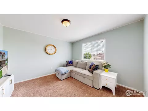392 Shadowbrook Dr, Windsor, CO 80550 photo 21
