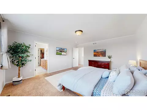 392 Shadowbrook Dr, Windsor, CO 80550 photo 13