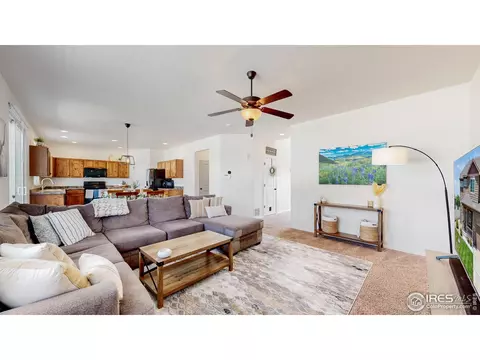 392 Shadowbrook Dr, Windsor, CO 80550 photo 6