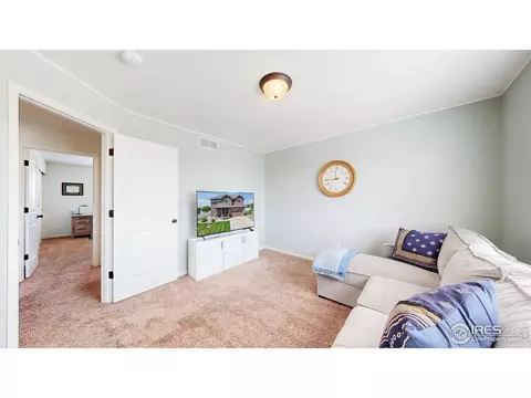 392 Shadowbrook Dr, Windsor, CO 80550 photo 20