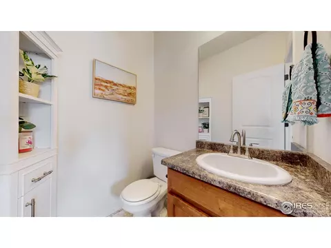 392 Shadowbrook Dr, Windsor, CO 80550 photo 25