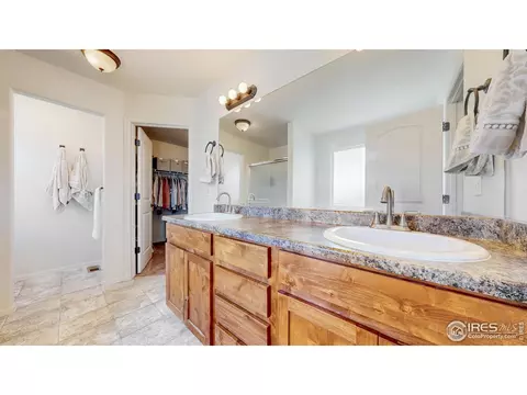 392 Shadowbrook Dr, Windsor, CO 80550 photo 16