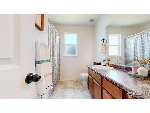 392 Shadowbrook Dr, Windsor, CO 80550 photo 23