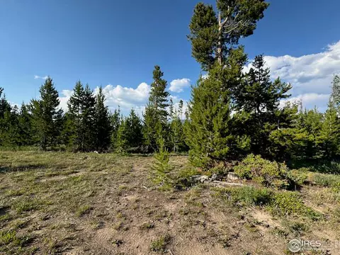 76 Elizabeth Dr, Rand, CO 80473 photo 21
