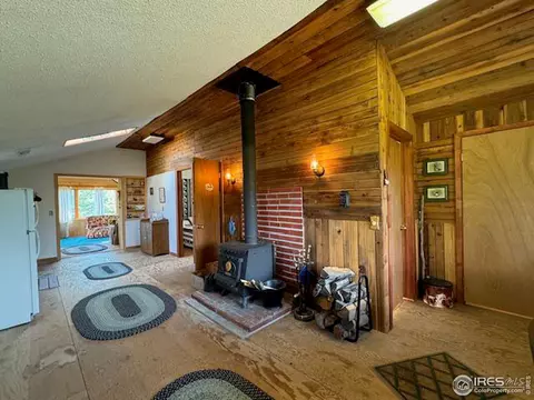 76 Elizabeth Dr, Rand, CO 80473 photo 10