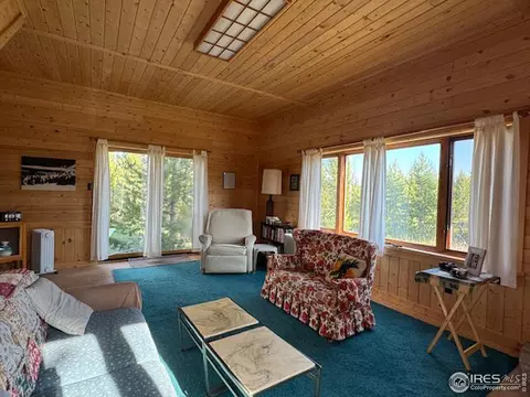 76 Elizabeth Dr, Rand, CO 80473 photo 4