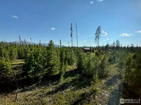 76 Elizabeth Dr, Rand, CO 80473 photo 17