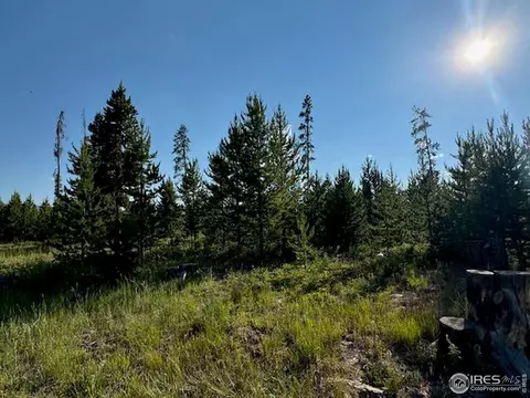 76 Elizabeth Dr, Rand, CO 80473 photo 20