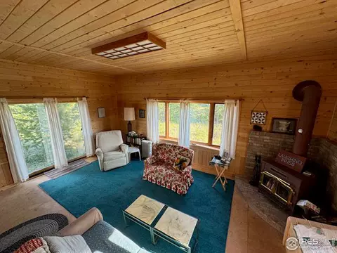 76 Elizabeth Dr, Rand, CO 80473 photo 5
