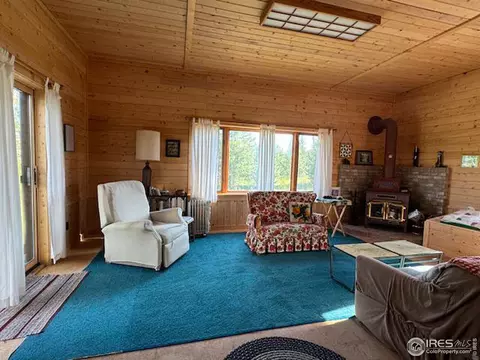 76 Elizabeth Dr, Rand, CO 80473 photo 3