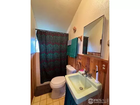 76 Elizabeth Dr, Rand, CO 80473 photo 14