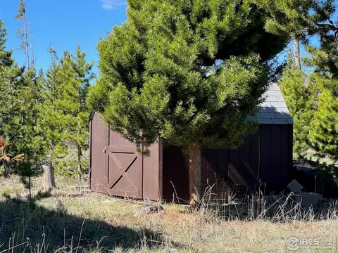 76 Elizabeth Dr, Rand, CO 80473 photo 18