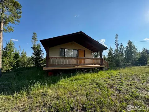 76 Elizabeth Dr, Rand, CO 80473 photo 24