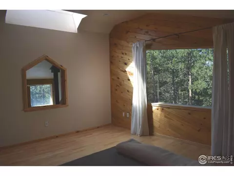 93 Bridger Trl, Ward, CO 80481 photo 9