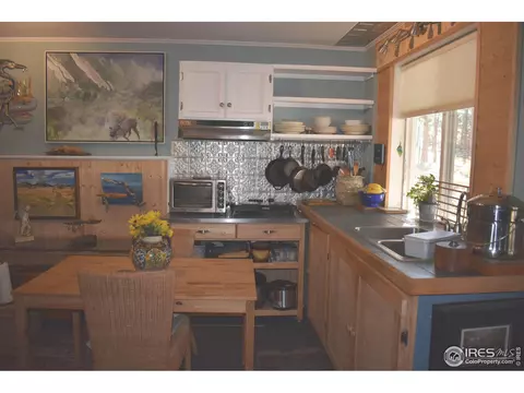 93 Bridger Trl, Ward, CO 80481 photo 14