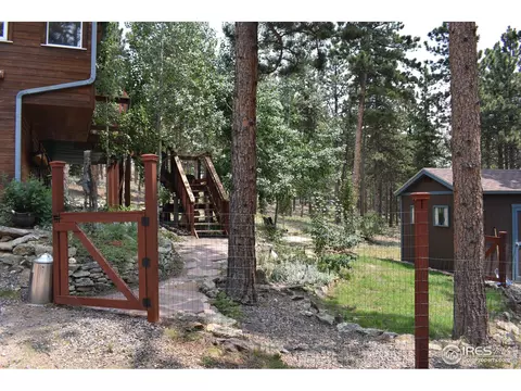 93 Bridger Trl, Ward, CO 80481 photo 19