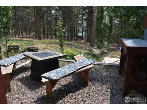 93 Bridger Trl, Ward, CO 80481 photo 18