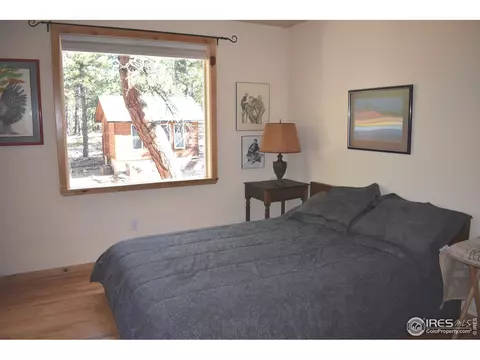 93 Bridger Trl, Ward, CO 80481 photo 5