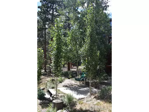93 Bridger Trl, Ward, CO 80481 photo 22