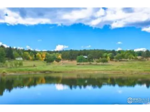 93 Bridger Trl, Ward, CO 80481 photo 23