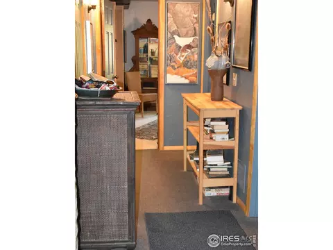 93 Bridger Trl, Ward, CO 80481 photo 17