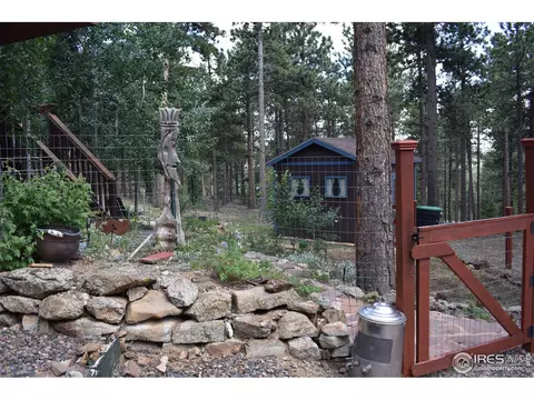 93 Bridger Trl, Ward, CO 80481 photo 21