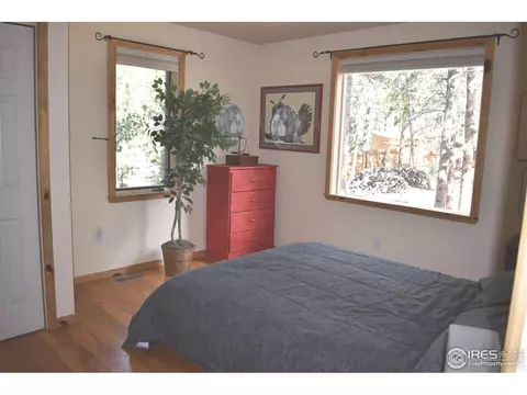 93 Bridger Trl, Ward, CO 80481 photo 6