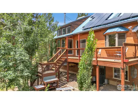 93 Bridger Trl, Ward, CO 80481 photo 27