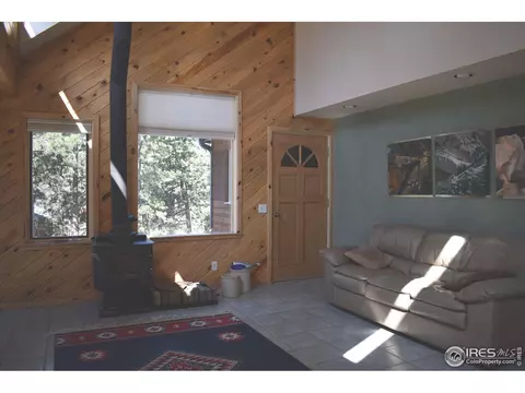 93 Bridger Trl, Ward, CO 80481 photo 3