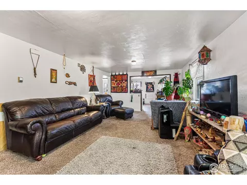 321 Seward St, Lyons, CO 80540 photo 20